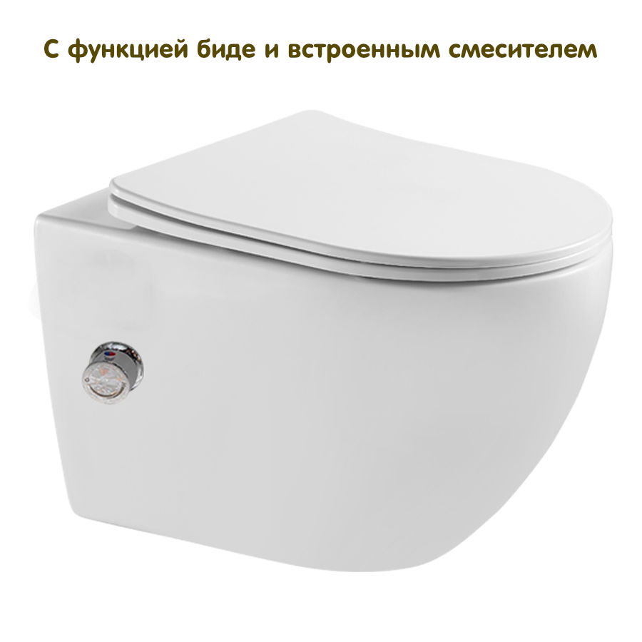 Подвесной безободковый унитаз с биде и смесителем Allegro AZ-3105B